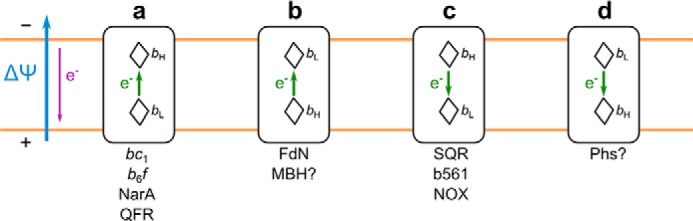 FIGURE 1.