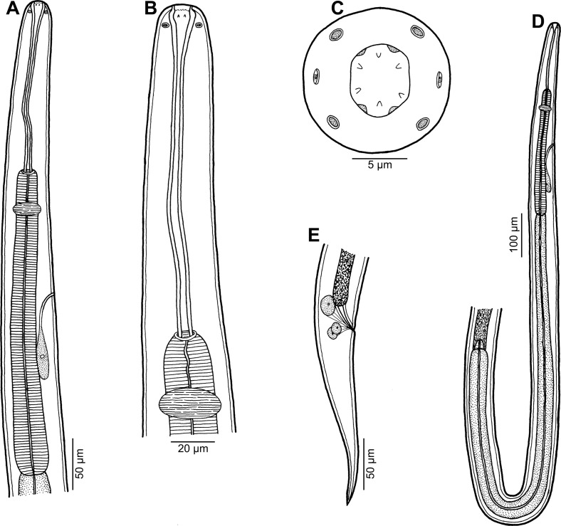 Figure 7.