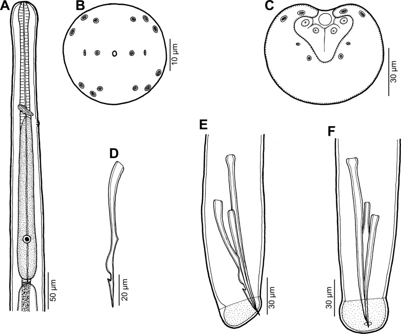 Figure 5.