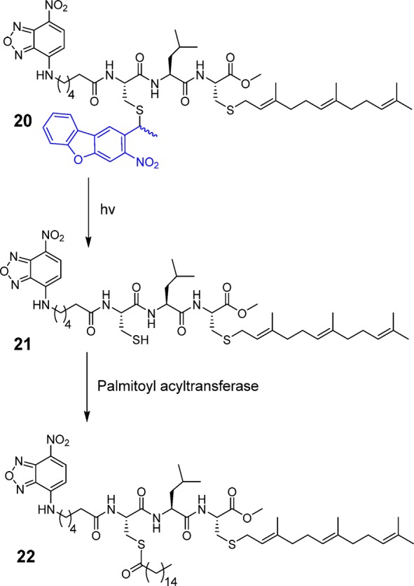 Scheme 5