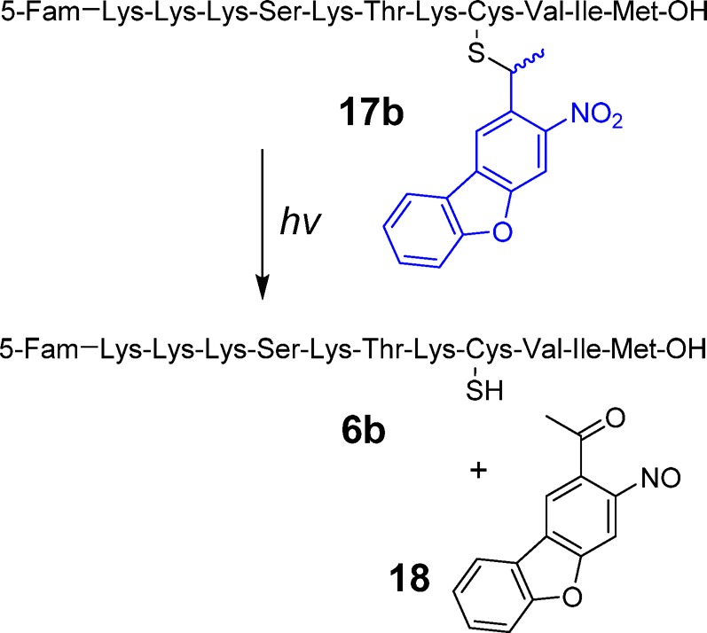 Scheme 4