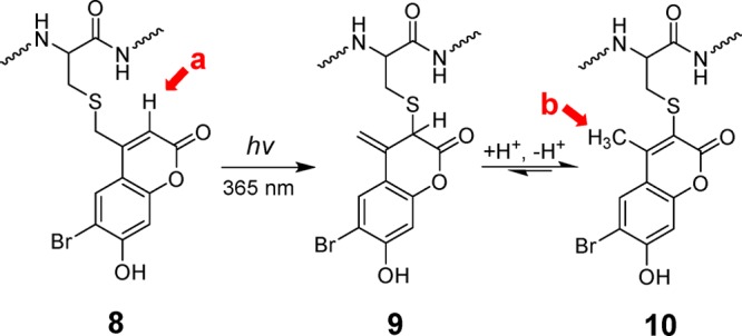 Scheme 2