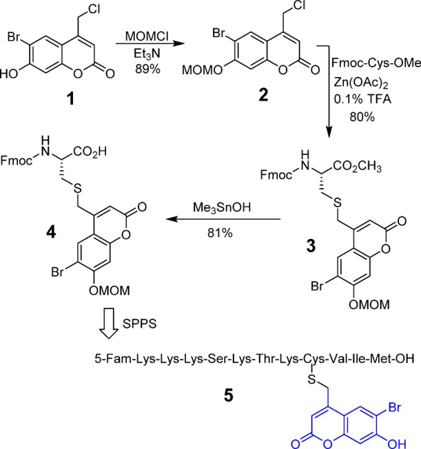 Scheme 1