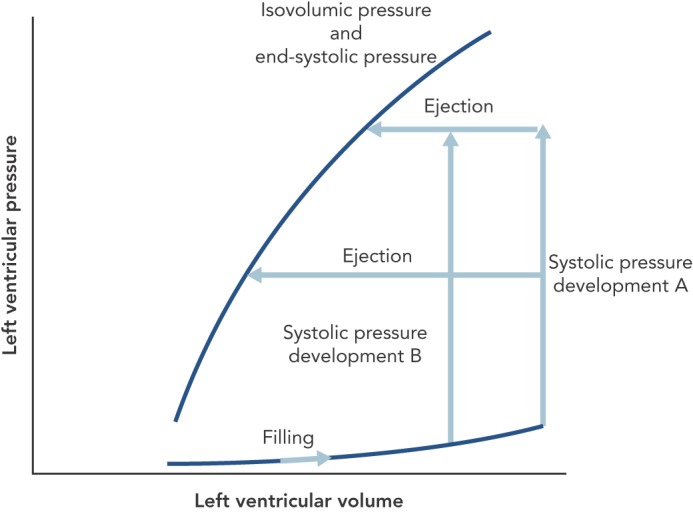 Figure 2: