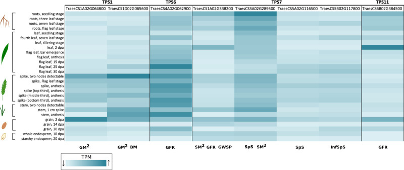 Figure 3.