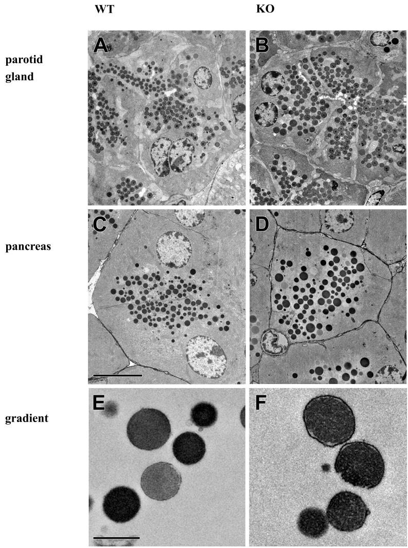 FIG. 5.