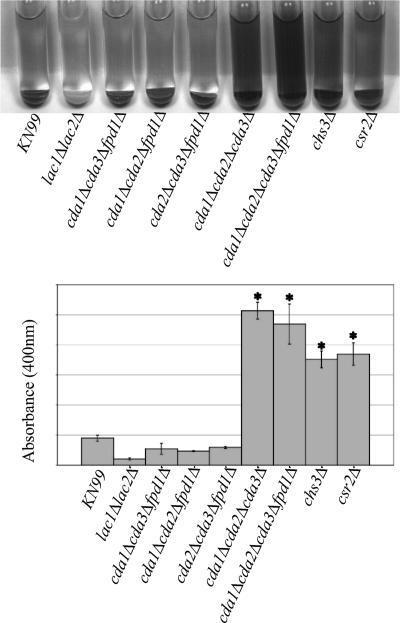 FIG. 8.