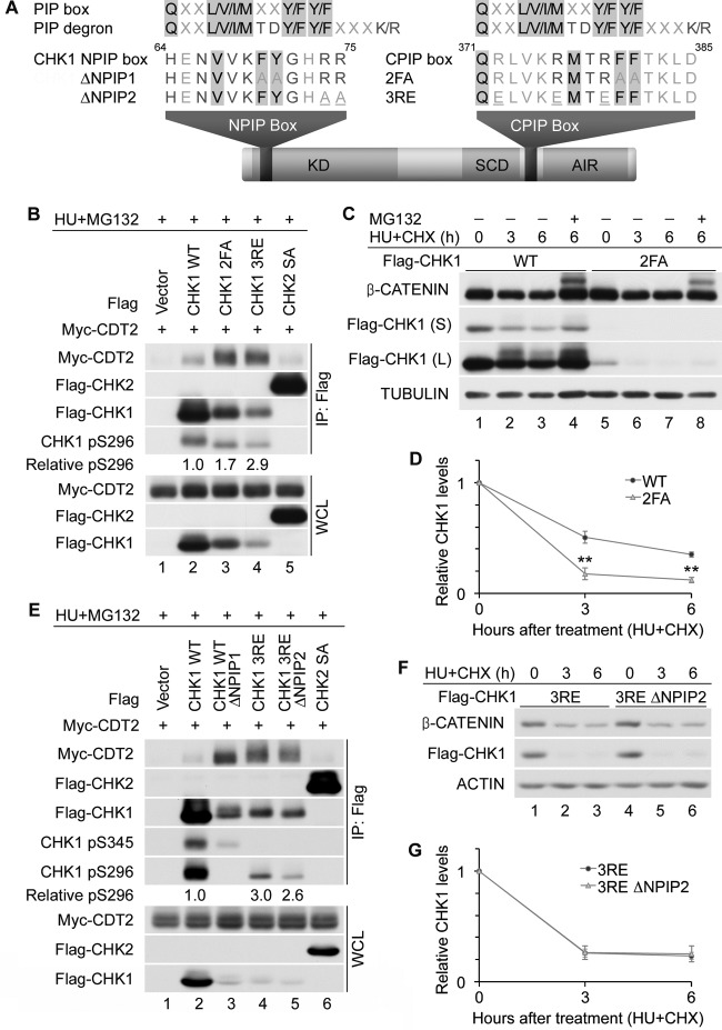 Fig 7