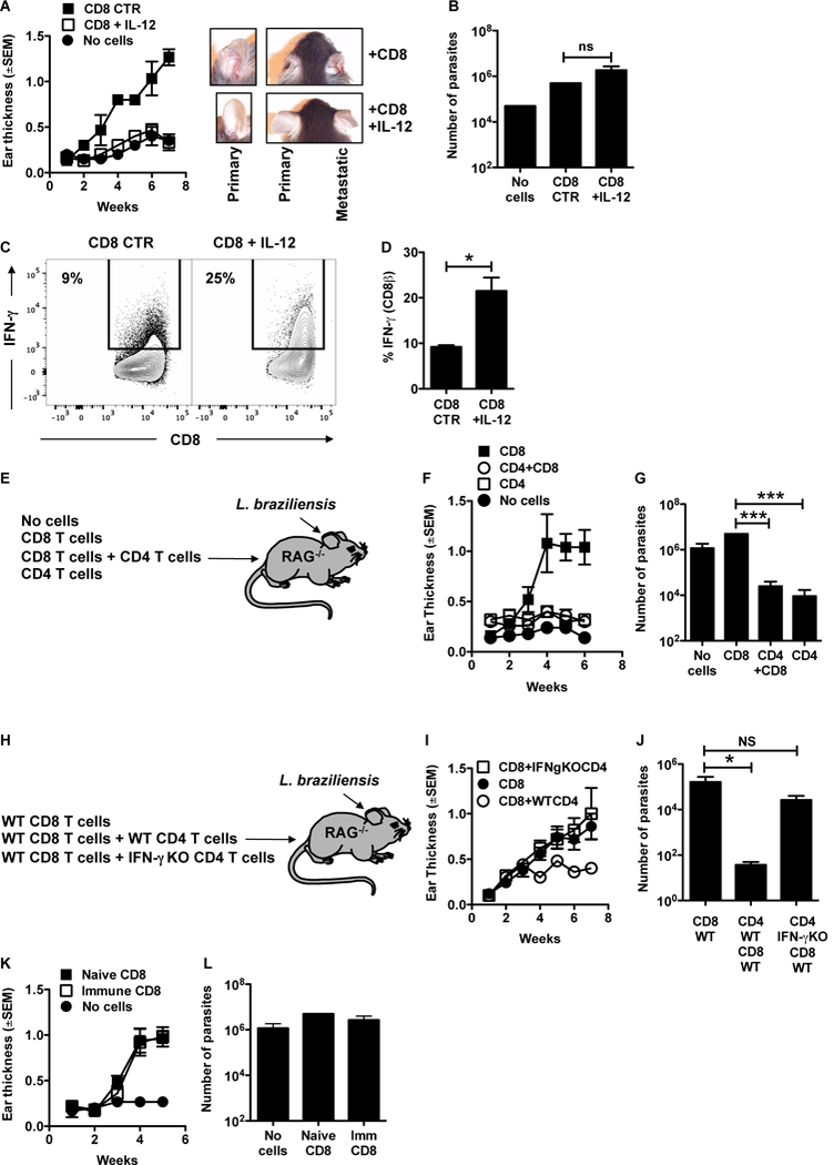 Figure 6: