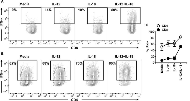 Figure 4: