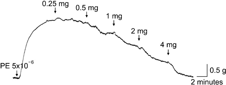 FIG. 1