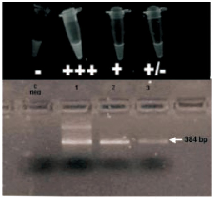 Figure 5.