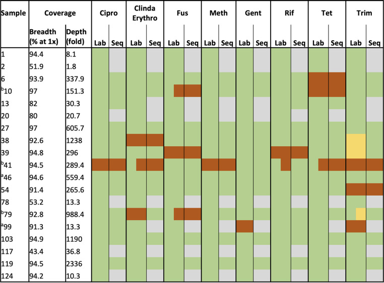 graphic file with name jcm.02156-21_t002.jpg