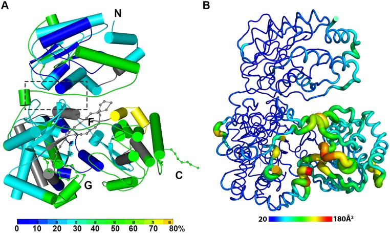 Fig 2