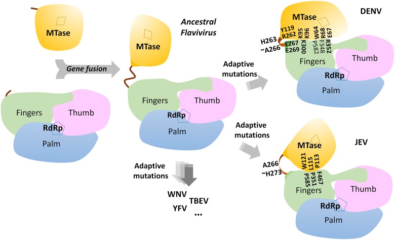 Fig 6