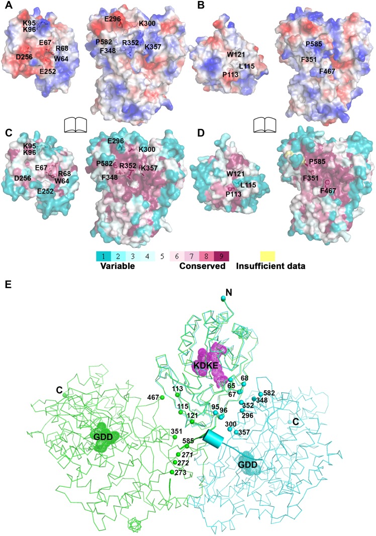 Fig 4