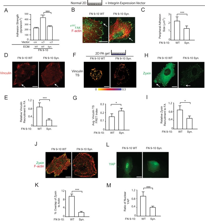 FIGURE 6: