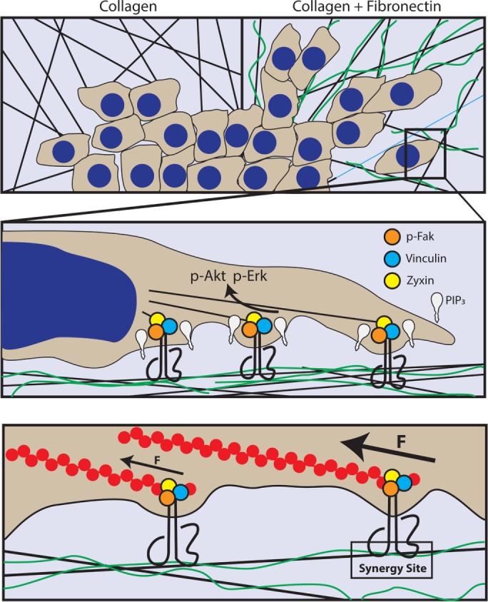 FIGURE 9: