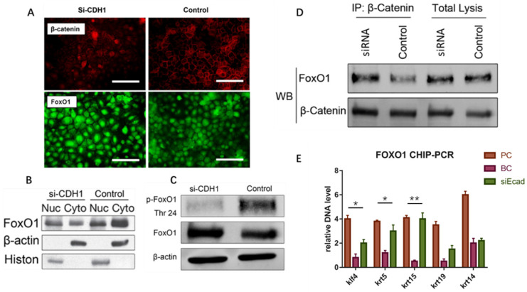 Fig 9