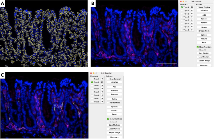 Figure 3