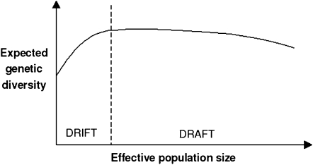 Figure 1.—