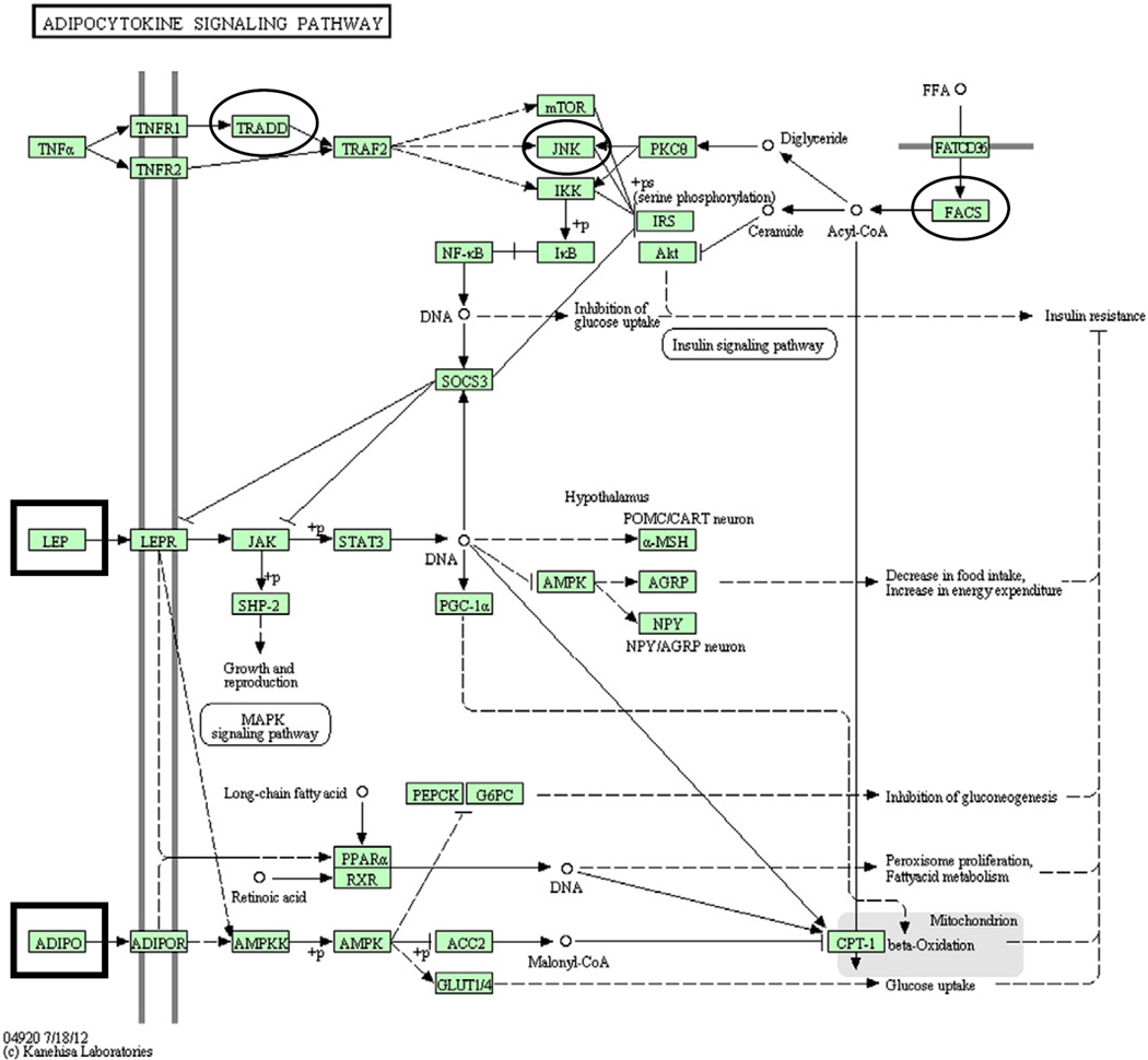 Fig. 3