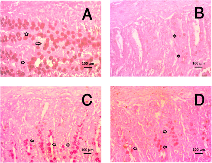 Fig. 11