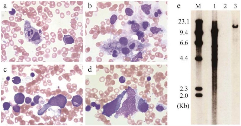 Fig. 1