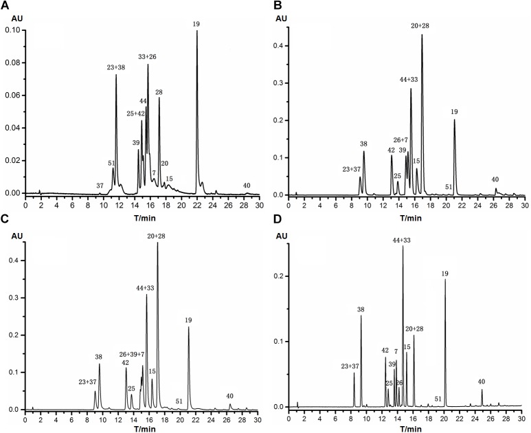 FIGURE 3