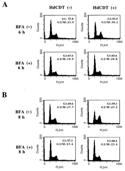 FIG. 6