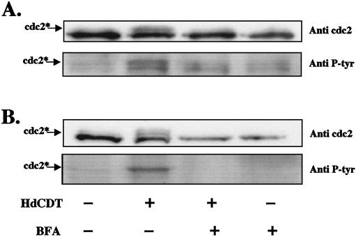 FIG. 7