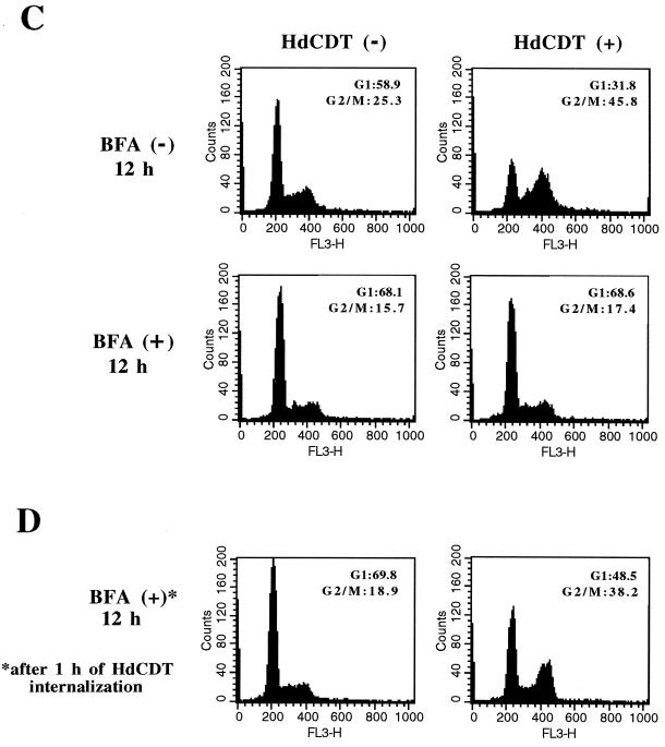 FIG. 6