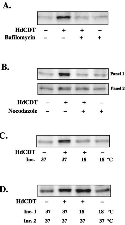 FIG. 5