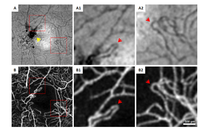 Fig. 8