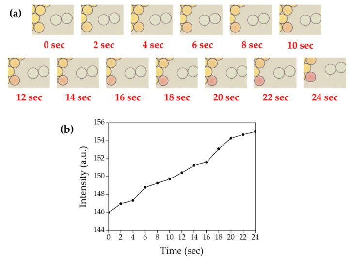 Figure 16