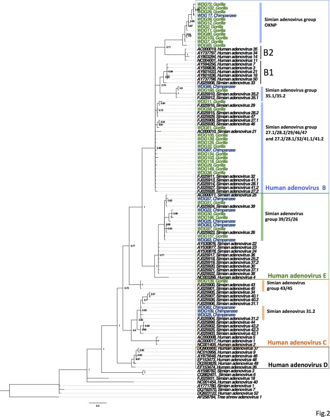 Fig 2