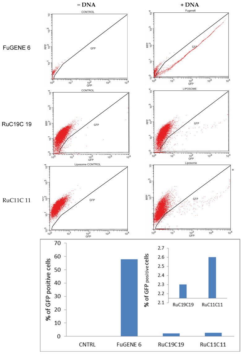 Figure 11