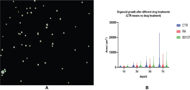 Figure 10