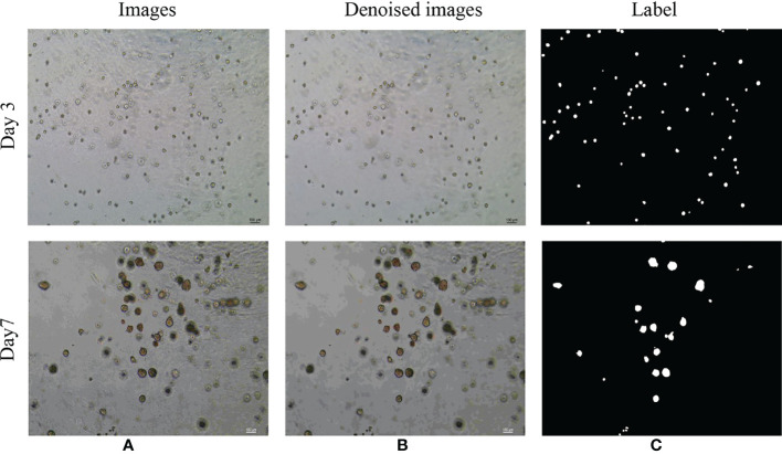 Figure 7