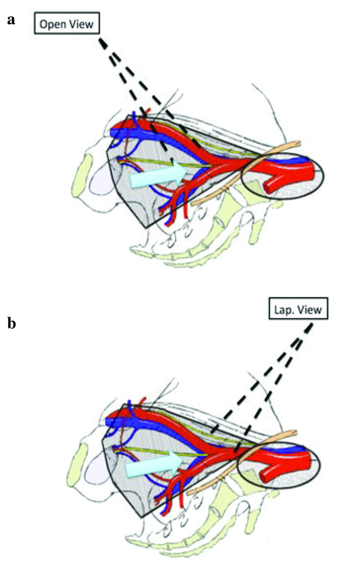 Figure 4 a, b