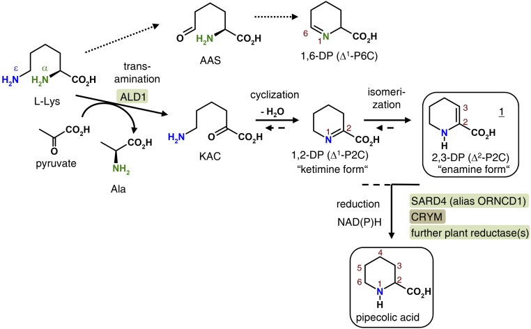 Figure 2.