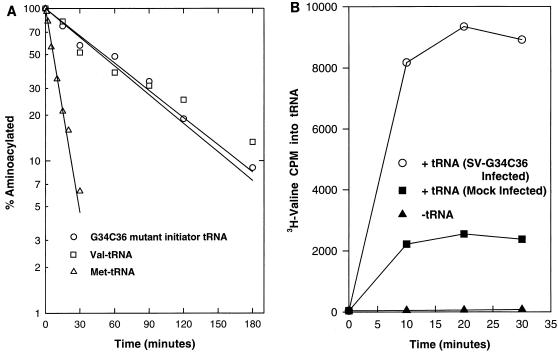 FIG. 6
