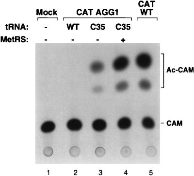 FIG. 4