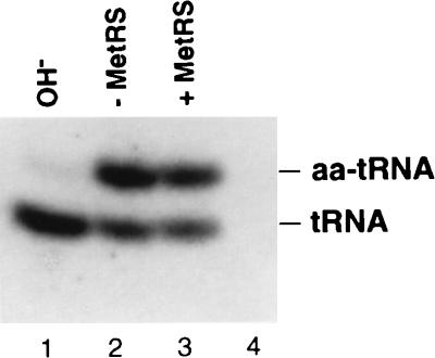FIG. 5