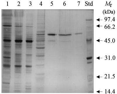 FIG. 3