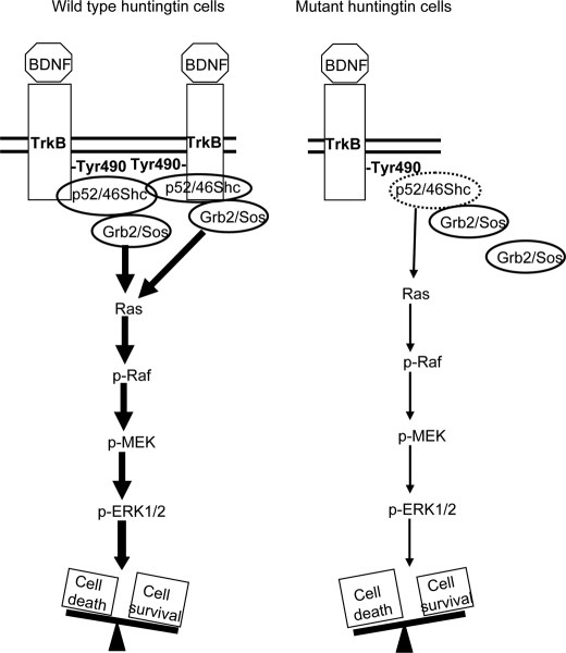 FIGURE 9.