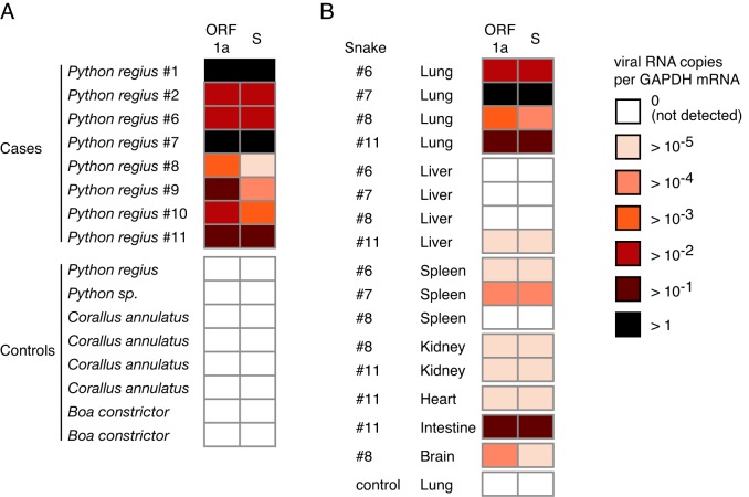 FIG 6 