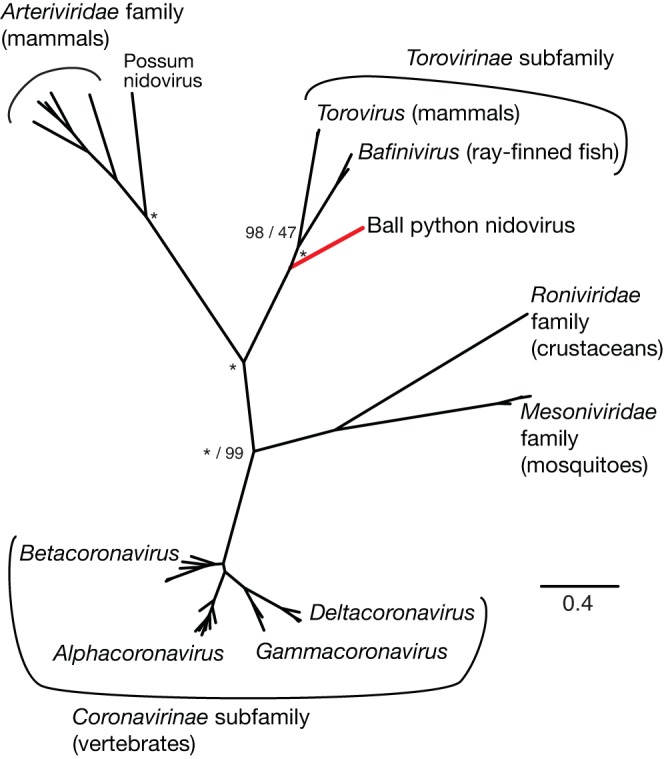 FIG 7 