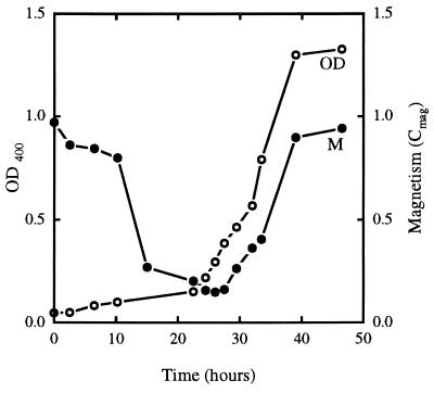 FIG. 1