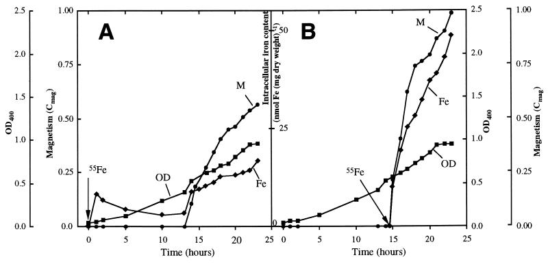 FIG. 3